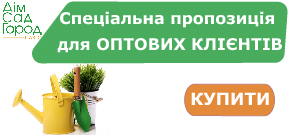 Специальное предложение для оптовых клиентов